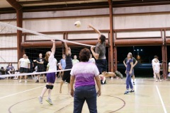 vball1