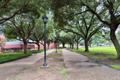 20250707_224747660_iOS-1-scaled